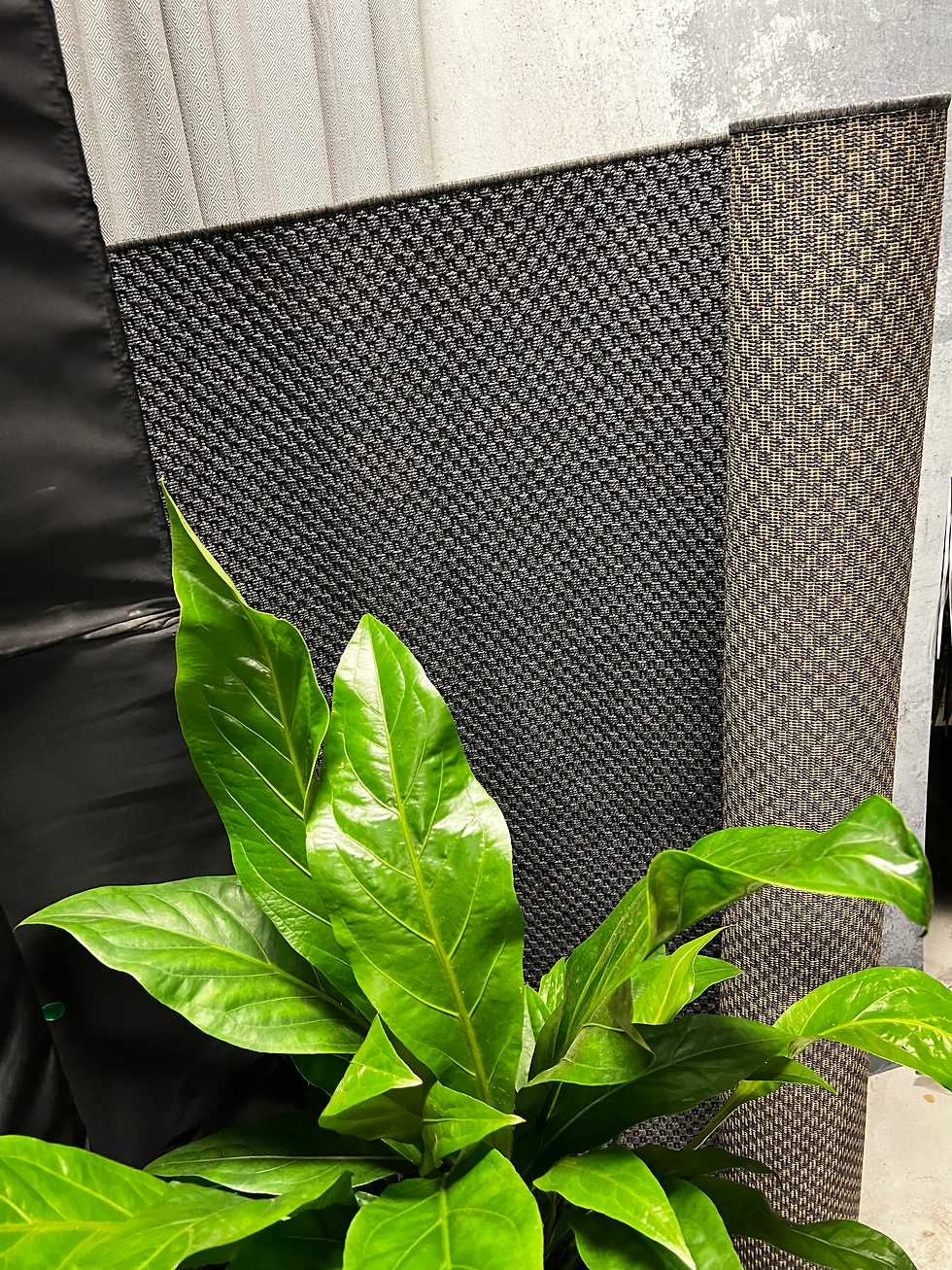 Sīktēls: Pelēks paklājs