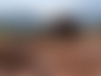 Elephants in Chang Mai, Thailand