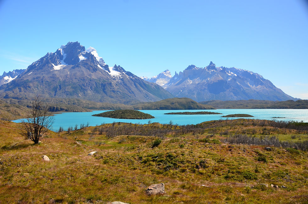 Guide to Chilean Patagonia 