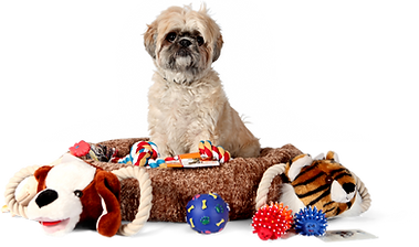 Rescue dogs toy clearance