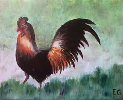 Le coq de Xavier