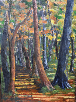 Bois de Limours