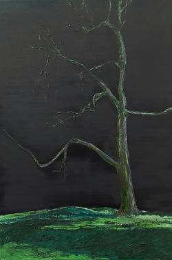 Le vieux saule