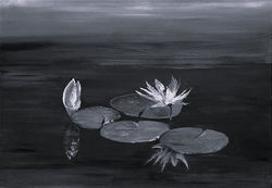 Nymphéas