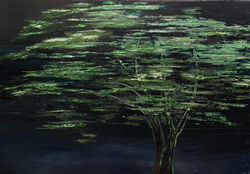 Le cèdre vert-2