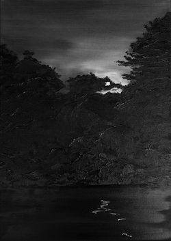 Noir de lune