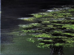 Le cèdre vert