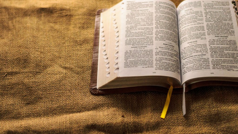 El siervo de DIOS y las autoridades