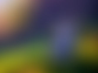 Para que fazemos parte da Igreja?