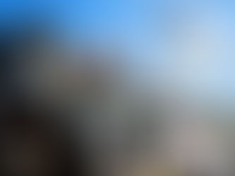 O que dizem os mórmons sobre o mormonismo?