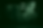 BasementNest_Green.png