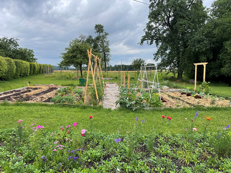 Mach mit! Wir gründen einen Gemeinschaftsgarten!