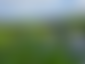 第２回宮城教区💛フォトコンテスト