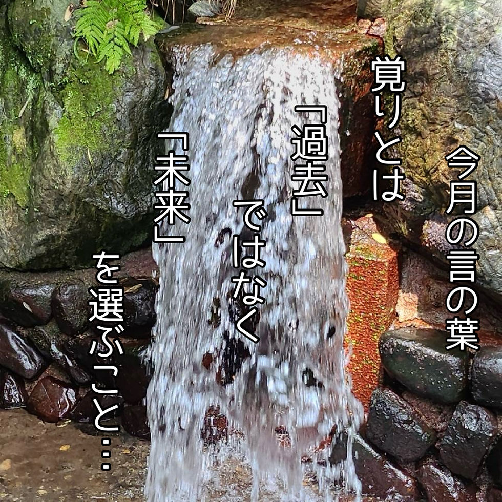 phonto
