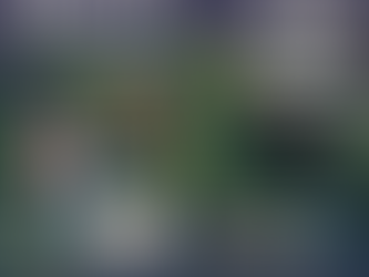 Permaculture Salon at the Art & Ecology Studio featuring Chiara Shannon discussing wine, biodynamics, and regenerative agriculture