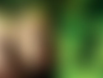 The Incredible Hulk (1977–1982)