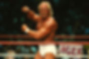 Hulk Hogan