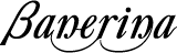 header_logo_banerina.gif