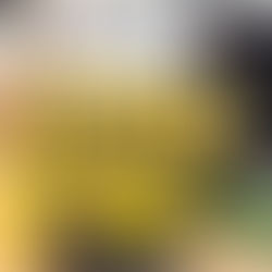 LV3D : Un magasin d'impression 3D pour les passionnés