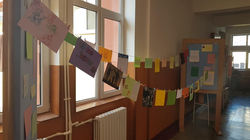 74791866_2400652959987898_85155040543008