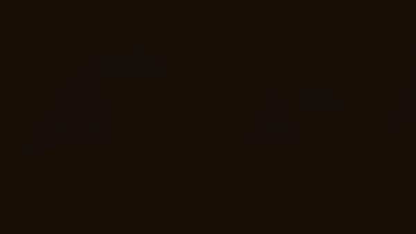 ezgif.com-video-to-gif.gif