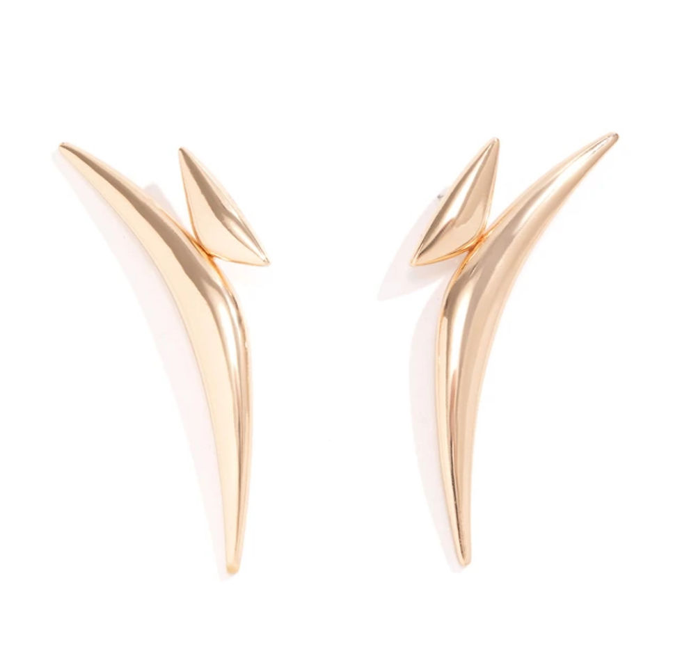 Thumbnail: Shiny Spike Earrings