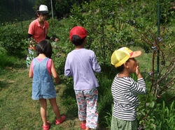 Bleuberry farm feast