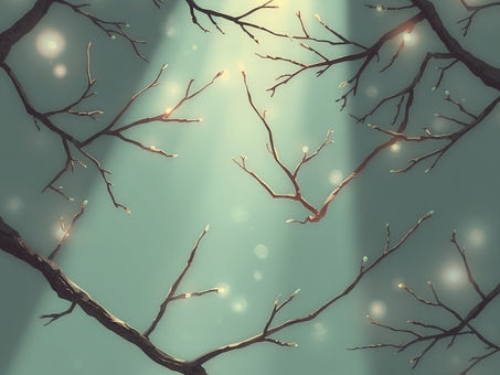 Winter Rhythm and the Intelligence of Timing