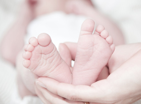 Newborn 