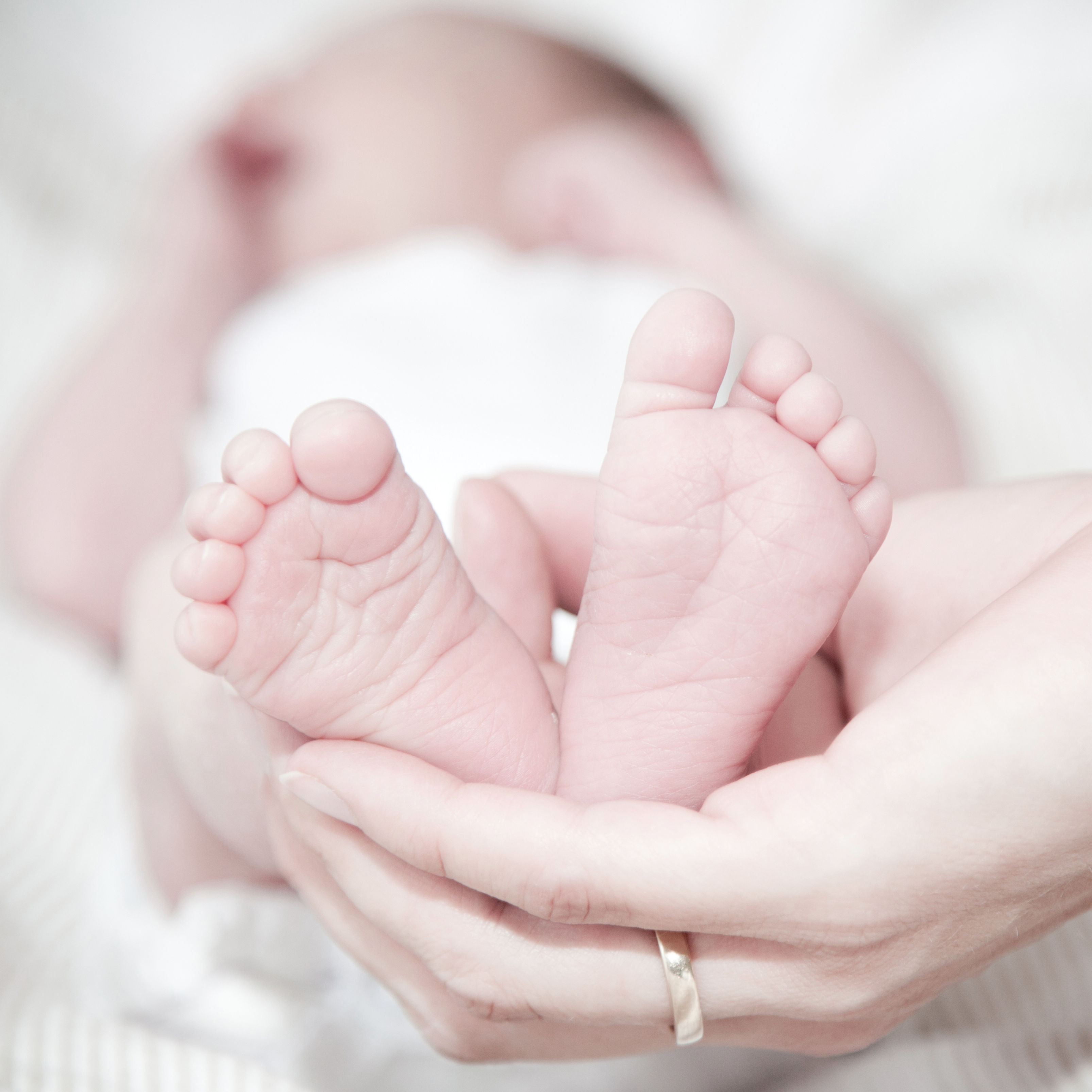 0-5month Routine only Download