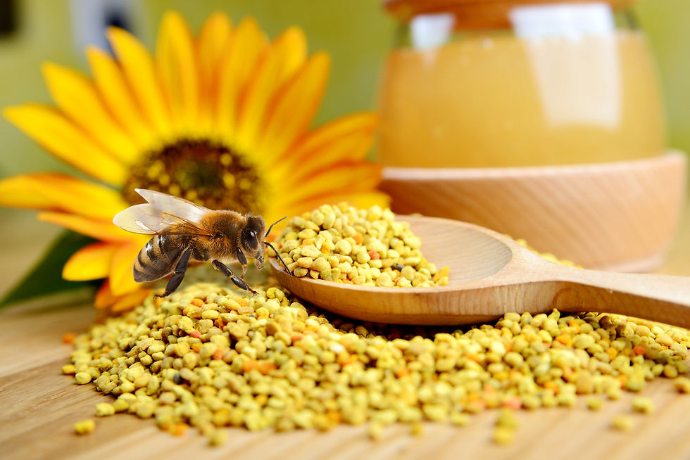 Polen de Abejas
