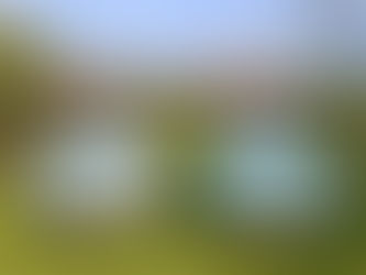 New Registrar of the Ex-Police Register