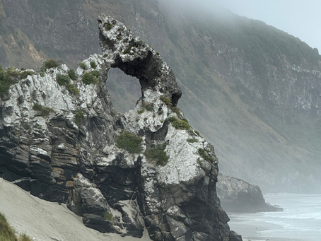 Travel Series: Dunedin to Christchurch, New Zealand