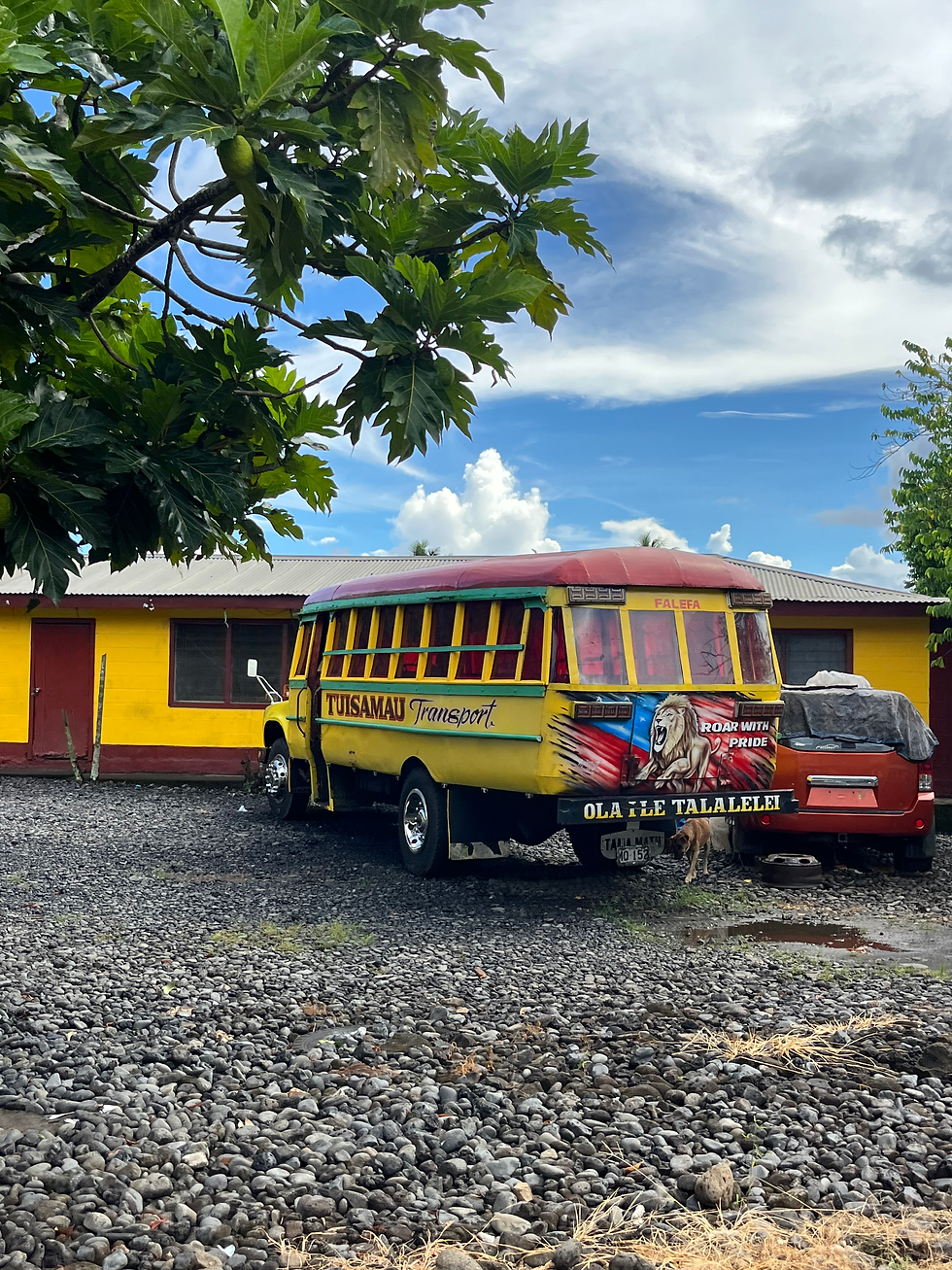 Local public bus