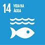 E_SDG_Icons_NoText-14.png