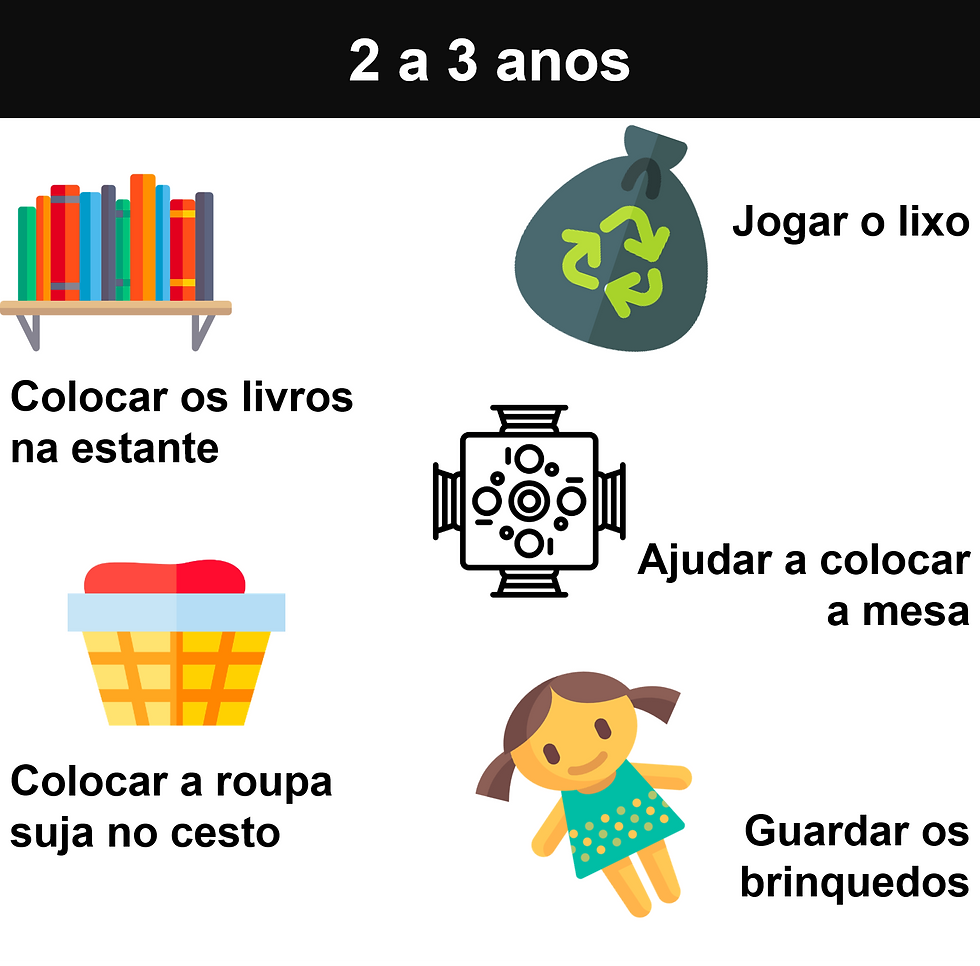 2 a 3 anos