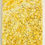 Thumbnail: Golden Forsythia, 20"x16"