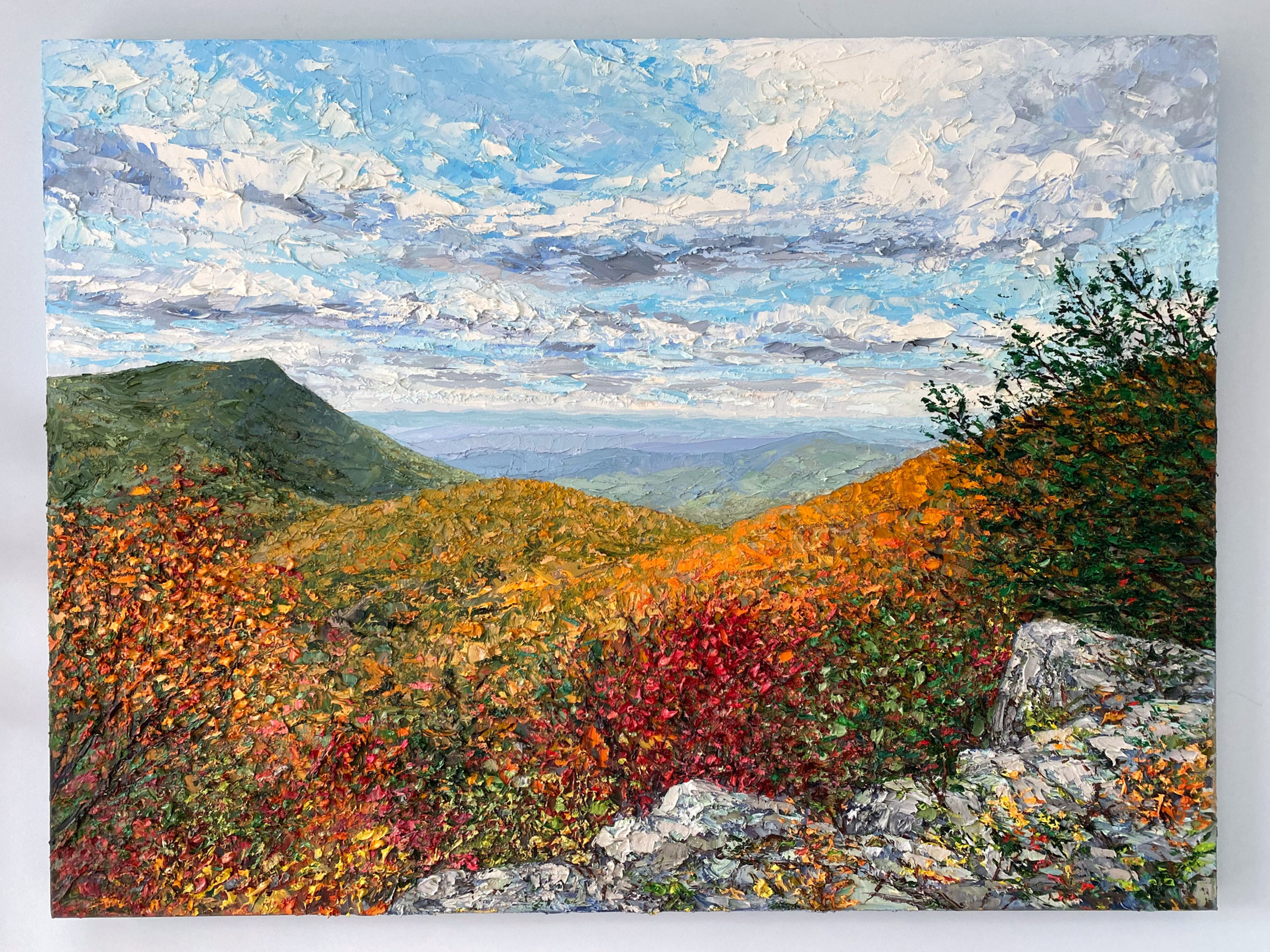 Bearfence Mountain, Shenandoah, 30"x40"