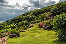 Montaña verde