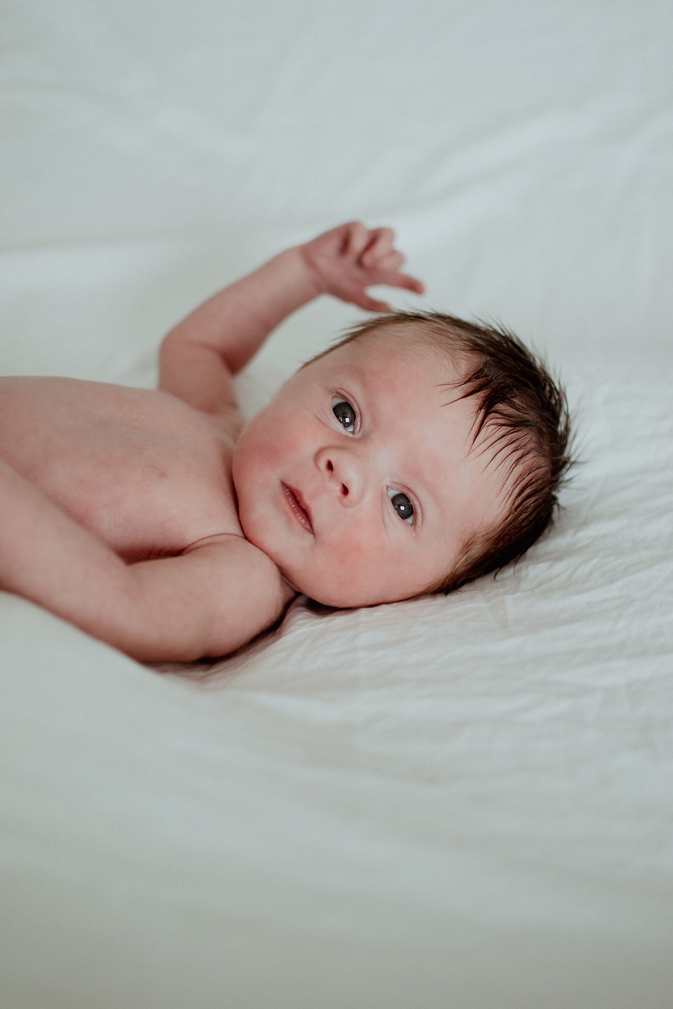 Newborn photo