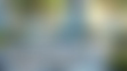 Introducing NPX AI Consulting Services