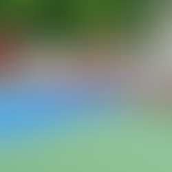 Pickleball Fever in Lucknow: Top 10 Courts You Must Play At in 2025