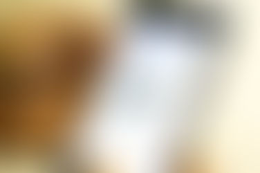 FGTS Aprova Suspensão De Pagamento De Parcelas De Programas Habitacionais
