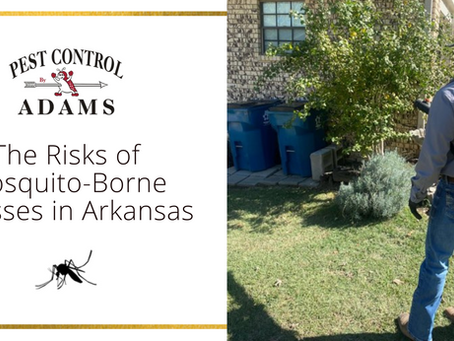Blog | Adams Pest Control in Little Rock, Hot Springs & White Hall