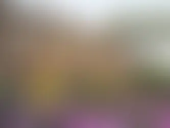 Hot Springs Village Quick Reference Guide: Essential Local Phone Numbers Every Homeowner Should Know