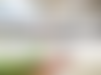 Why a Whole-Home Service Provider Is the Smart Choice for Arkansas Homeowners