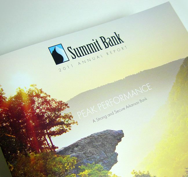 SUMMIT_ANNUAL_REPORT_DETAIL.jpg