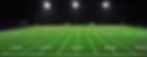 Field Regulations 