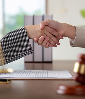 vecteezy_professional-lawyer-handshake-in-office-with-legal_48924191.jpg