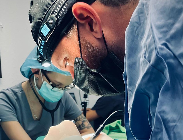 Dr. Perez performing advanced veterinary surgery at Dorado Animal Hospital & Surgical Center in Oceanside, CA